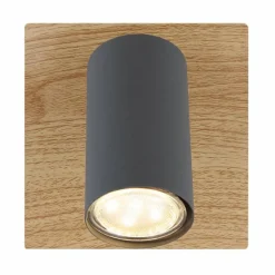 Lampes En Bois-Luminaires Globo Lighting Applique murale Globo ROBBY Bois foncé, Noir, 1 lumière