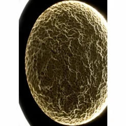 Lampes Dorées-Luminaires Holländer Applique murale Holländer PLENILUNIO LED Brun, Or, Noir, 2 lumières