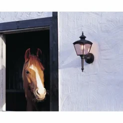 Luminaires Konstsmide Applique murale Konstsmide Cassiopeia Noir, 1 lumière