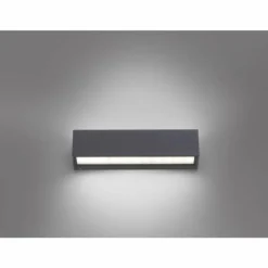 Luminaires Paul Neuhaus Applique murale Paul Neuhaus ROBERT LED Anthracite, 1 lumière