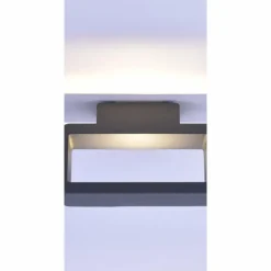 Luminaires Paul Neuhaus Applique murale Paul Neuhaus HENDRIK LED Anthracite, 1 lumière