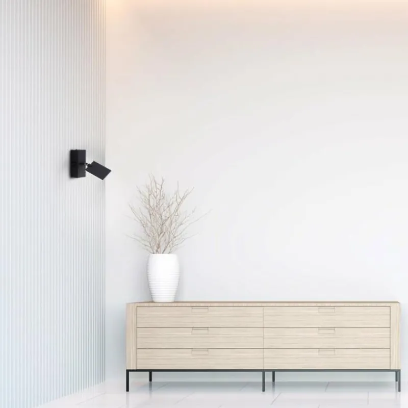 Luminaires Paul Neuhaus Applique murale Paul Neuhaus PURE-MIRA LED Noir, 2 lumières, Télécommandes* Appliques