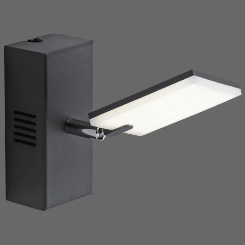 Luminaires Paul Neuhaus Applique murale Paul Neuhaus PURE-MIRA LED Noir, 2 lumières, Télécommandes* Appliques