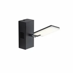 Luminaires Paul Neuhaus Applique murale Paul Neuhaus PURE-MIRA LED Noir, 2 lumières, Télécommandes* Appliques