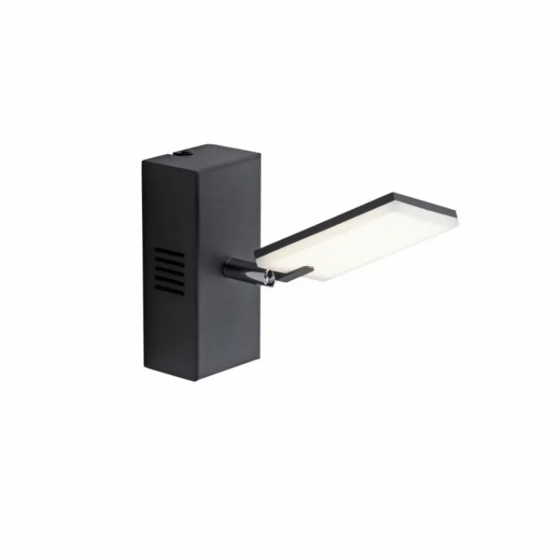 Luminaires Paul Neuhaus Applique murale Paul Neuhaus PURE-MIRA LED Noir, 2 lumières, Télécommandes* Appliques