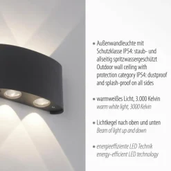 Luminaires Paul Neuhaus Applique murale Paul Neuhaus CARLO LED Anthracite, 4 lumières