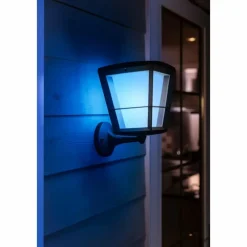 Luminaires Philips Applique murale Philips Hue Ambiance White & Color Econic LED Noir, 1 lumière, Changeur de couleurs