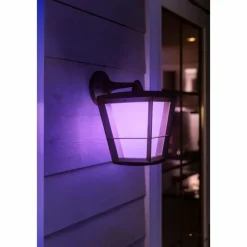 Luminaires Philips Applique murale Philips Hue Ambiance White & Color Econic LED Noir, 1 lumière, Changeur de couleurs