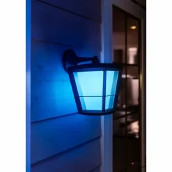 Luminaires Philips Applique murale Philips Hue Ambiance White & Color Econic LED Noir, 1 lumière, Changeur de couleurs