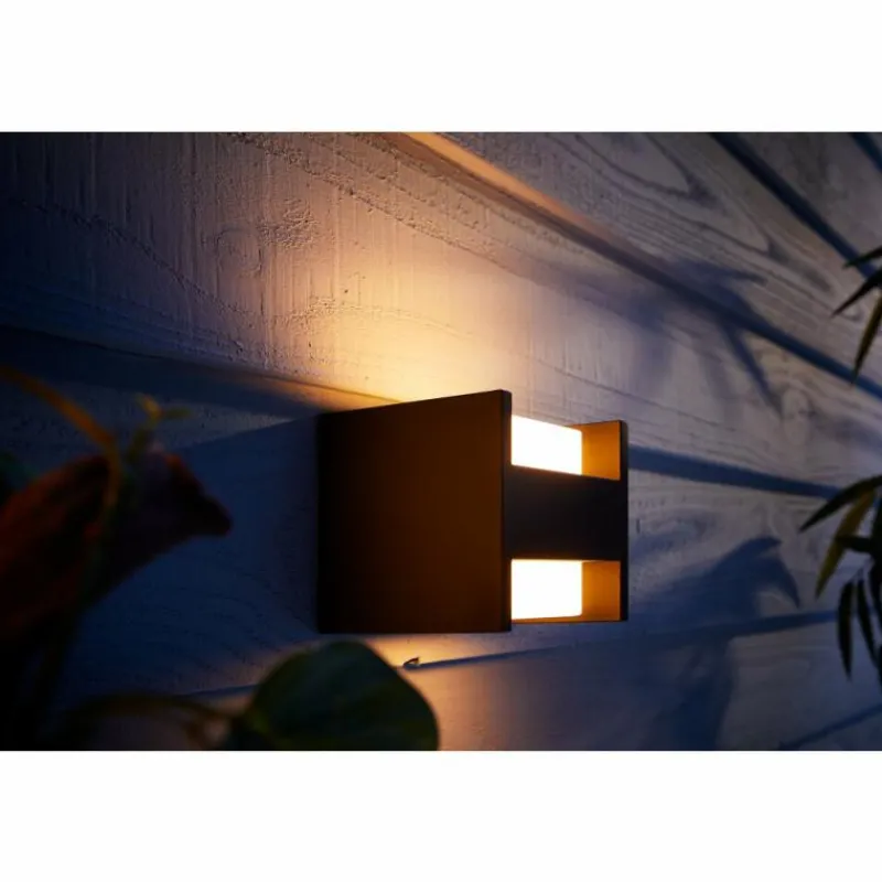 Luminaires Philips Applique murale Philips Hue White Fuzo LED Noir, 1 lumière