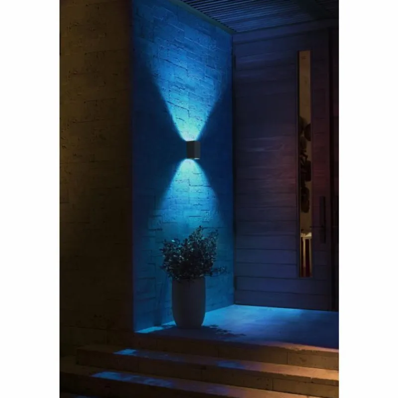 Luminaires Philips Applique murale Philips Hue White & Color Ambiance Resonate LED Noir, 2 lumières