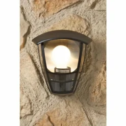 Luminaires Rustiques-Luminaires Philips Applique murale Philips myGarden CREEK Noir, Transparent, 1 lumière