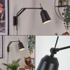 Luminaires Scandinaves-hofstein Applique murale Sacriquier Noir, 1 lumière