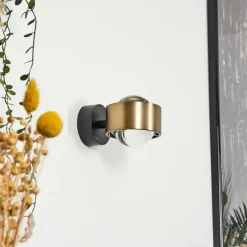 hofstein Applique murale Sapri Vieux laiton, Noir, 1 lumière