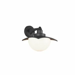 Luminaires Trio Applique murale Trio Donez Anthracite, 1 lumière