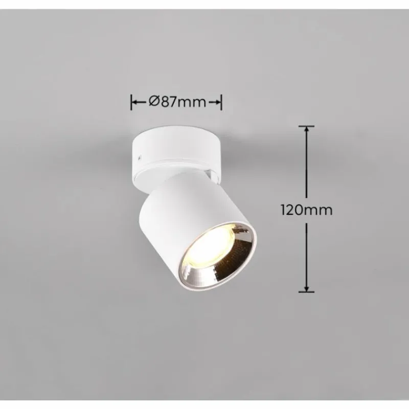 Luminaires Trio Applique murale Trio GUAYANA Blanc, 1 lumière* Spots Et Projecteurs