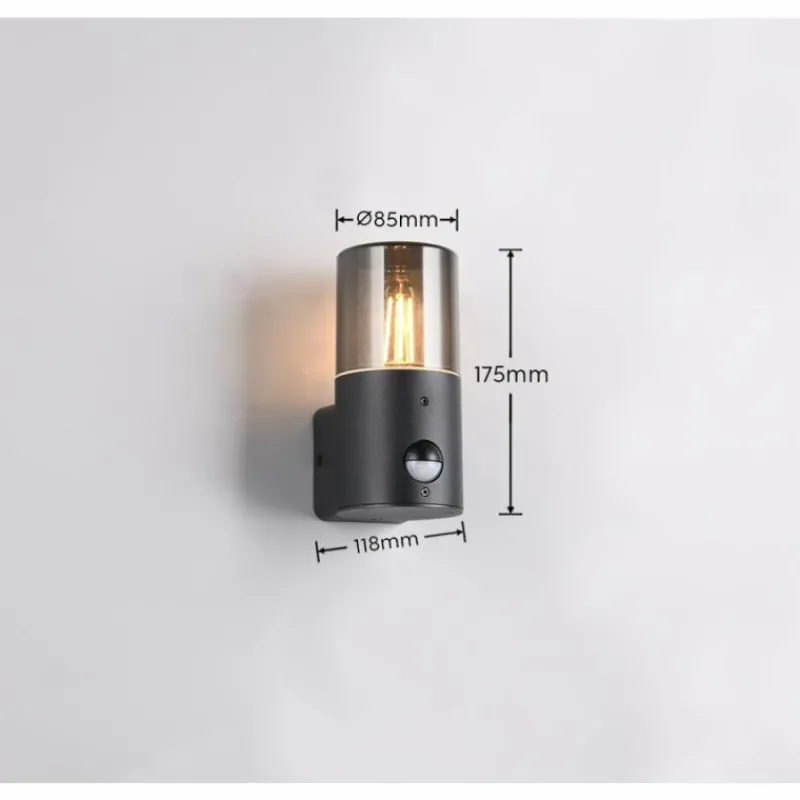 Luminaires Trio Applique murale Trio HOOSIC Noir, 1 lumière, Détecteur de mouvement