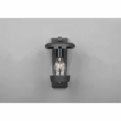 Luminaires Trio Applique murale Trio-Leuchten Cavado Anthracite, 1 lumière, Détecteur de mouvement