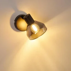 Suspension Verre Fumé-hofstein Applique murale Tyksov Noir, 1 lumière