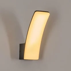 hofstein Azia Lampe murale d´extérieur LED Anthracite, 1 lumière