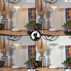 hofstein Baigorrita Lampe de table d'extérieur, Lampe à poser LED Blanc, 1 lumière