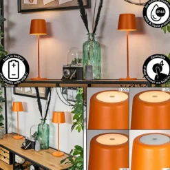 hofstein Belece Lampe de table d'extérieur, Lampe à poser LED Orange, 1 lumière