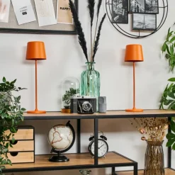 hofstein Belece Lampe de table d'extérieur, Lampe à poser LED Orange, 1 lumière