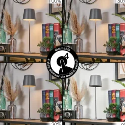 hofstein Belece Lampe de table d'extérieur, Lampe à poser LED Gris, 1 lumière