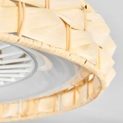 hofstein Benasal Plafonnier, Ventilateur de plafond lumineux LED Blanc, 1 lumière, Télécommandes