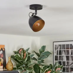 Lampes Dorées-hofstein Bjedstrup Plafonnier, Spot de plafond, Spot mural Noir, 1 lumière