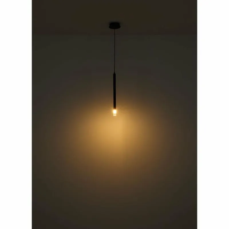 Luminaires Globo Lighting Blake Suspension Noir, 1 lumière* Suspensions