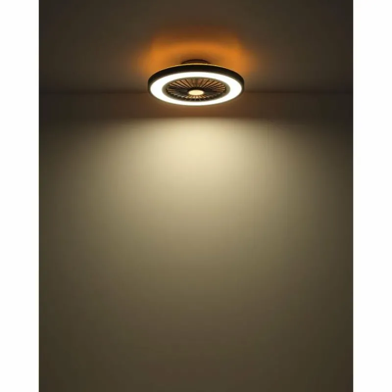 Luminaires Globo Lighting Blizzak Ventilateur de plafond lumineux LED Noir, 1 lumière, Télécommandes