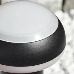 hofstein Borne lumineuse Vinara LED Noir, 1 lumière