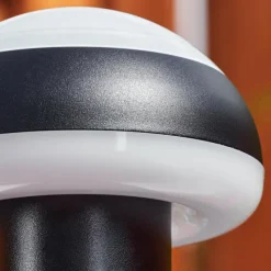 hofstein Borne lumineuse Vinara LED Noir, 1 lumière