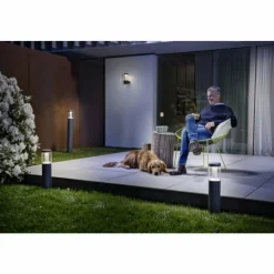 Luminaires Ledvance Borne lumineuse LEDVANCE ENDURA Noir, 1 lumière