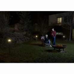 Lampes Dorées-Luminaires Ledvance Borne lumineuse LEDVANCE ENDURA® Or, Noir, 1 lumière