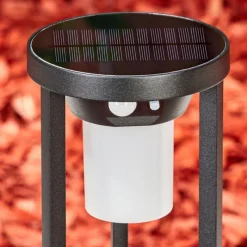 hofstein Borne lumineuse Lokpano LED Noir, Blanc, 1 lumière, Détecteur de mouvement