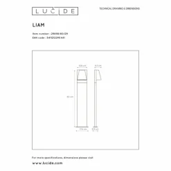 Luminaires Lucide Borne lumineuse Lucide LIAM Anthracite, 1 lumière