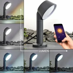 Luminaires Lutec Borne lumineuse Moroni LED Anthracite, 1 lumière