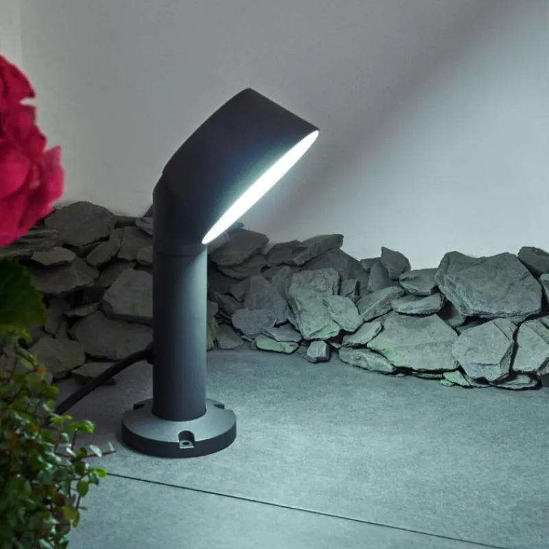 Luminaires Lutec Borne lumineuse Moroni LED Anthracite, 1 lumière