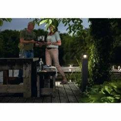 Luminaires Philips Borne lumineuse Philips Parterre LED Noir, 1 lumière