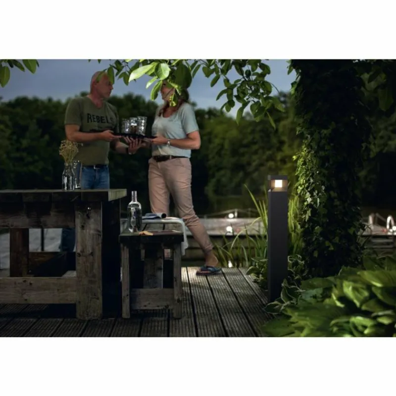 Luminaires Philips Borne lumineuse Philips Parterre LED Noir, 1 lumière