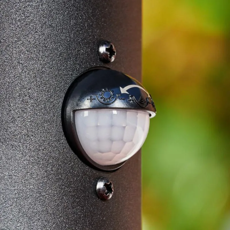 Suspension Verre Fumé-hofstein Borne lumineuse Sumalao Noir, 1 lumière, Détecteur de mouvement