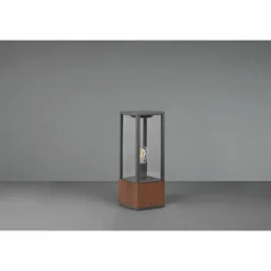 Lampes En Bois-Luminaires Trio Borne lumineuse Trio Garonne Bois foncé, Nickel mat, 1 lumière