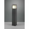 Luminaires Trio Borne lumineuse Trio Witham LED Anthracite, 1 lumière