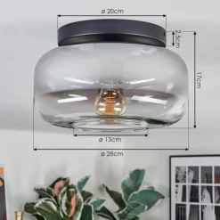 hofstein Boza Plafonnier, Boule lumineuse Clair, Fumé, 1 lumière