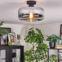 Suspension Verre Fumé-hofstein Boza Plafonnier Chrome, Clair, Fumé, 1 lumière