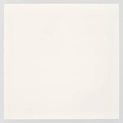 Lampes Industrielles-Luminaires Brilliant Briston Plafonnier LED Blanc, 1 lumière, Télécommandes