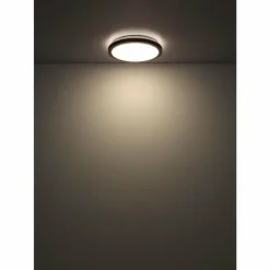 Lampes En Bois-Luminaires Globo Lighting Bruno Plafonnier LED Brun, Noir, 1 lumière