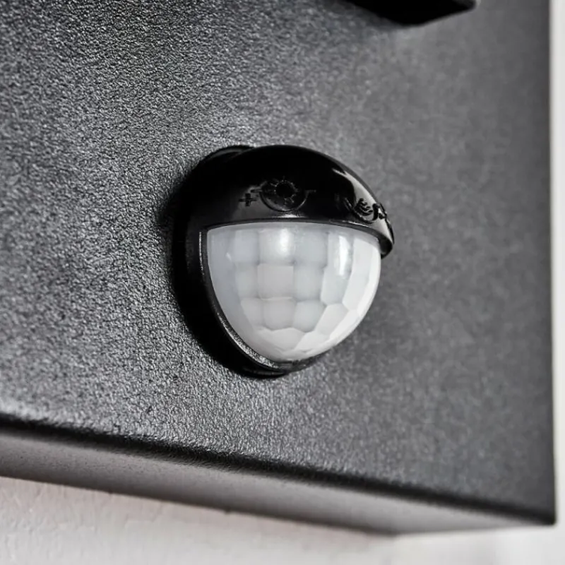 hofstein Cadafaes Lampe murale d´extérieur Noir, 1 lumière, Détecteur de mouvement